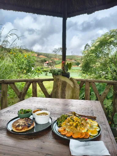 A spread of curries on the gazebo table