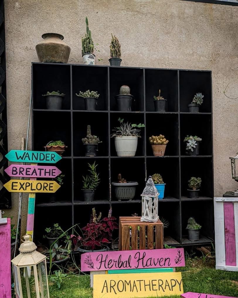 Shelves of potted herbs and plants in the Farmacy